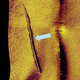 Image for article titled Sweden Says That This Is Definitive Proof A Sub Violated Its Waters